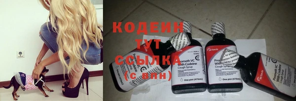 бошки Кодинск