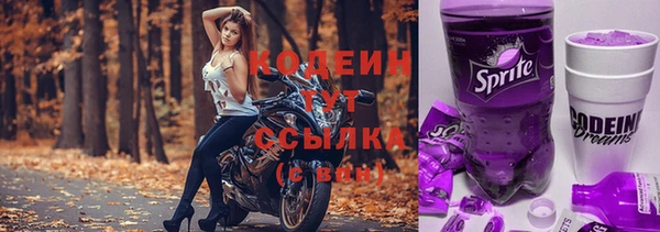 бошки Кодинск