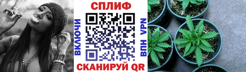 Купить Искитим Марихуана White Widow